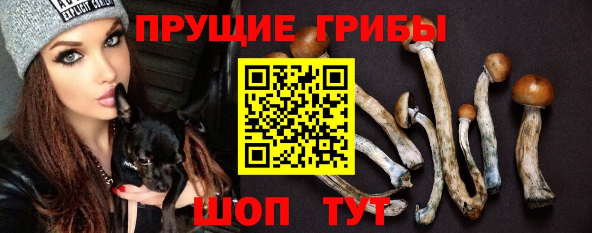 Галлюциногенные грибы мухоморы Воркута